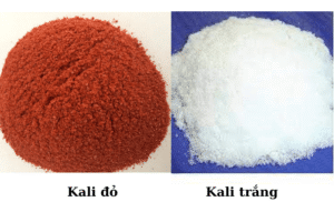 cac-loai-phan-kali