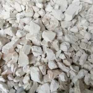 voi-song-cao-voi-cuc-voi-bot