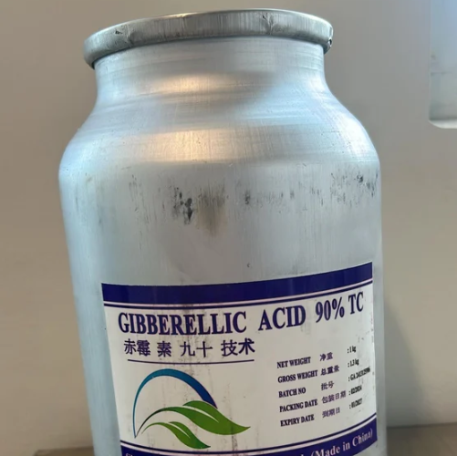 GA3 Acid Gibberellic (GA3) là hormone thực vật quan trọng, giúp kích thích nảy mầm, tăng trưởng, ra hoa, đậu quả và nâng cao năng suất cây trồng hiệu quả.