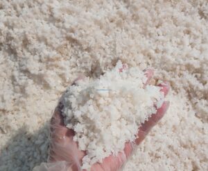 muoi-hot-muoi-hat-cong-nghiep