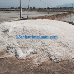 ruong-muoi-hot-muoi-hat