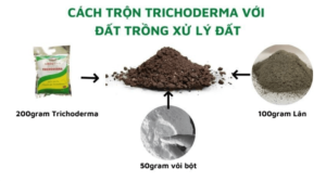 cach-su-dung-trichoderma