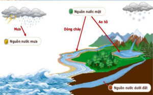 nguon-nuoc-trong-tu-nhien-xuat-phat-tu-dau