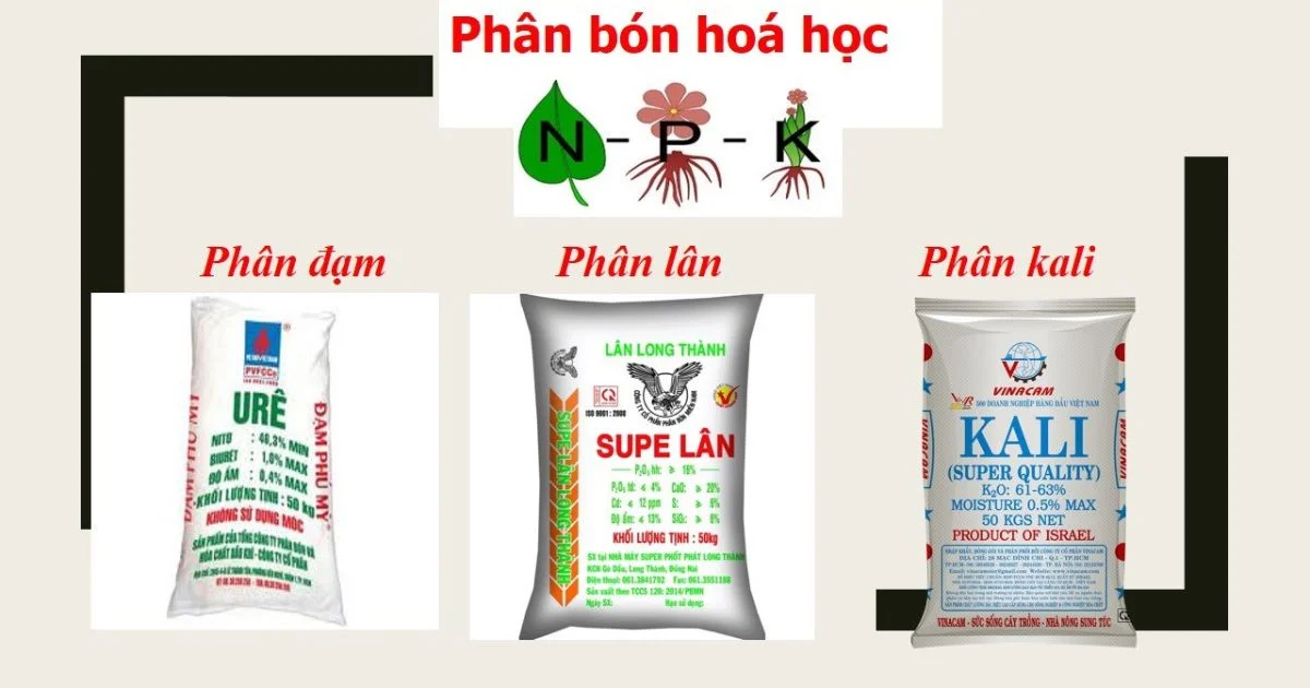 phan-bon-hoa-hoc
