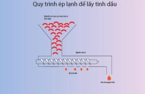 chiet-xuat-dau-tu-vo-hat-dieu-bang-phuong-phap-ep-lanh