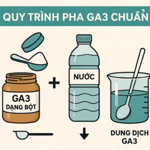 quy-trinh-pha-ga3-chuan