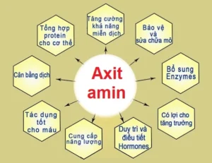 acid-amin-trong-thuc-an-chan-nuoi