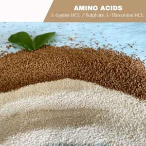 l-lysine-hcl-va-l-lysine-sulphate