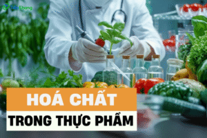hoa-chat-thuc-pham