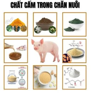 hoa-chat-cam-su-dung-trong-chan-nuoi
