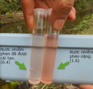 nuoc-nhiem-phen