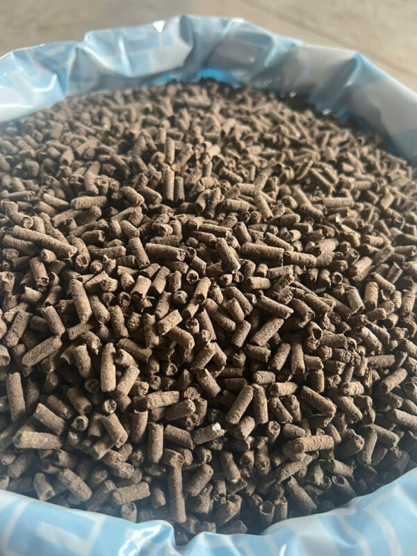phan-ga-vien-nen-huu-co