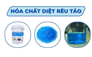 hoa-chat-diet-tao-pho-bien-hien-nay