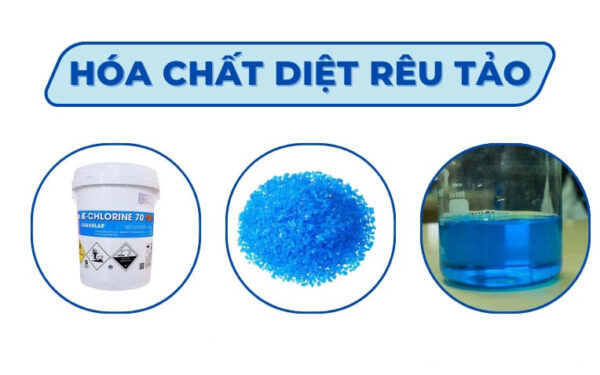 Hóa chất diệt tảo rong rêu hiệu quả, an toàn phổ biến nhất hiện nay