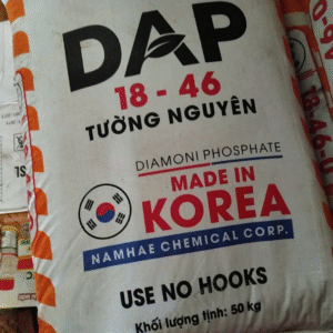 phan-dap-korea