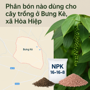 phan-bon-bung-ke