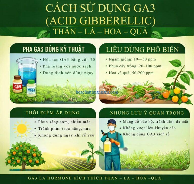 Cách Sử Dụng GA3 (Acid Gibberellic) Hiệu Quả, Đúng Kỹ Thuật