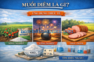 muoi-diem-va-ung-dung