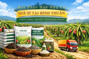 phan-bon-huu-co-binh-thuan