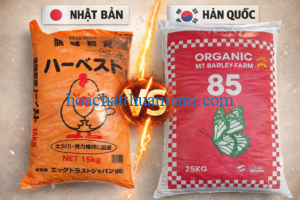 so-sanh-phan-bon-huu-co