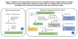 Sơ đồ quy trình Haber–Bosch và chuỗi sản xuất phân bón nitơ tổng hợp