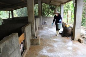 khu-mui-va-kiem-soat-vi-sinh