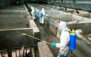 ve-sinh-sat-khuan-chuong-trai