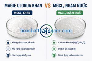 magie-clorua-khan-va-mgcl2-ngam-nuoc-khac-nhau-the-nao