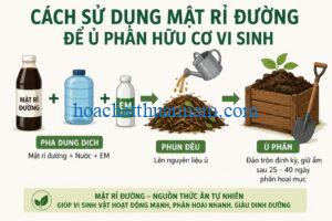 cach-su-dung-mat-ri-duong-de-u-phan-huu-co-vi-sinh-hieu-qua