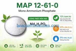 cong-thuc-hoa-hoc-cua-map-12-61-0