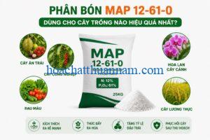 phan-bon-map-12-61-0-dung-cho-cay-trong-nao-hieu-qua-nhat