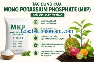 tac-dung-cua-mono-potassium-phosphate-mkp-doi-voi-cay-trong
