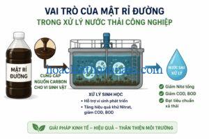 vai-tro-cua-mat-ri-duong-trong-xu-ly-nuoc-thai-cong-nghiep