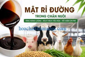 mat-ri-duong-trong-chan-nuoi