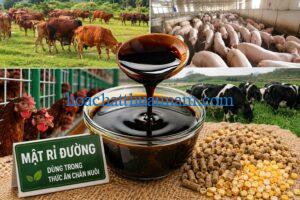 Mật rỉ đường dùng trong thức ăn chăn nuôi