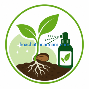 thuoc-kich-thich-ra-mam-va-sinh-truong-cay-trong-ga3-acid-gibberellic