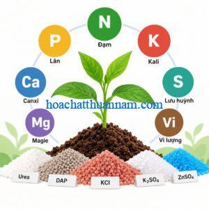 Các loại hóa chất làm phân bón phổ biến
