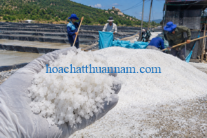 Muối công nghiệp NaCl dạng hạt tinh thể trắng