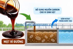 Mật Rỉ Đường Dùng Để Làm Gì Trong Xử Lý Nước Thải?