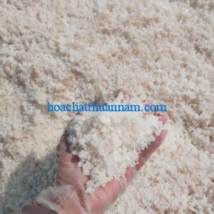muối hột cho lò mổ